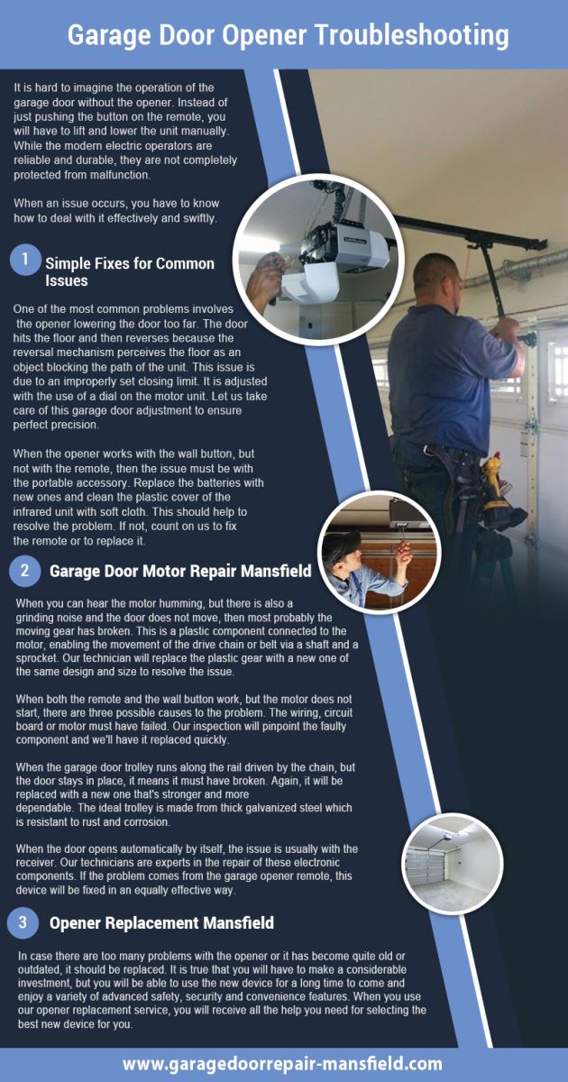 Garage Door Repair Mansfield Infographic